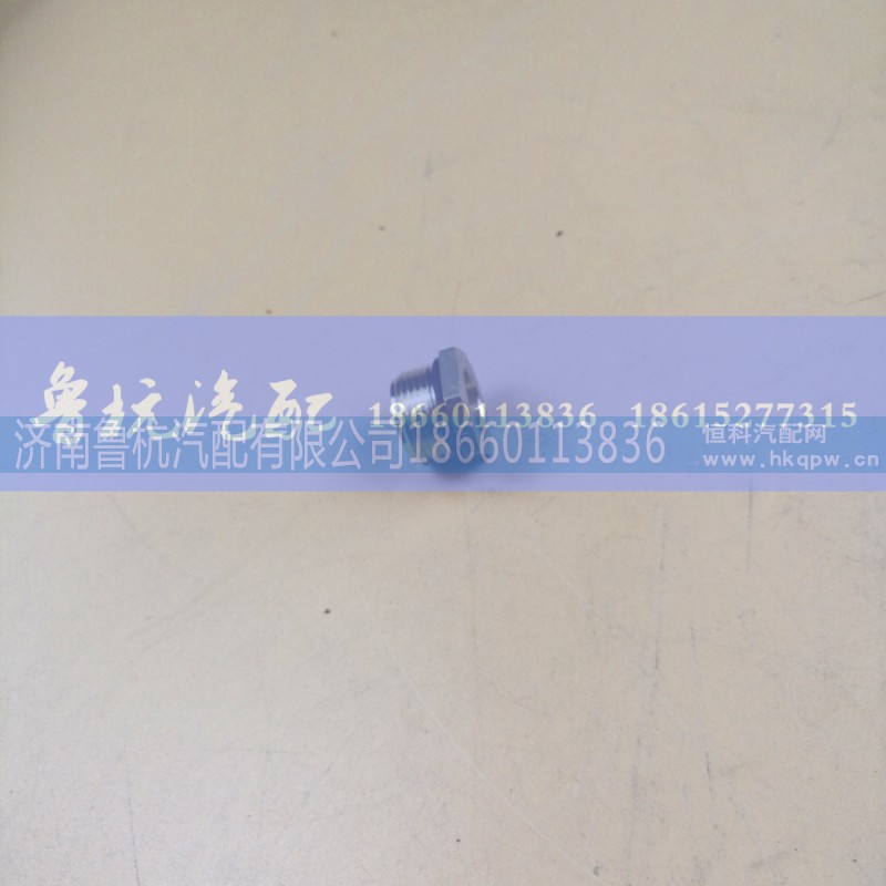 WG9000361009,螺母座（铜）M22,济南鲁杭汽配有限公司