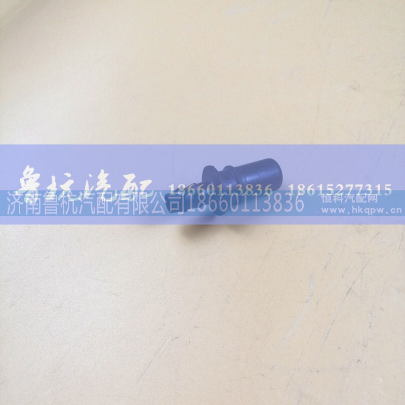 811W98181-000Z/1,汕德卡TSG驾驶室管接头 12x1.5,济南鲁杭汽配有限公司