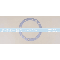 199014320131,调整垫片,山东茂凯商贸有限公司