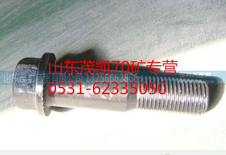 WG9981340067,輪邊螺絲,山東茂凱商貿(mào)有限公司