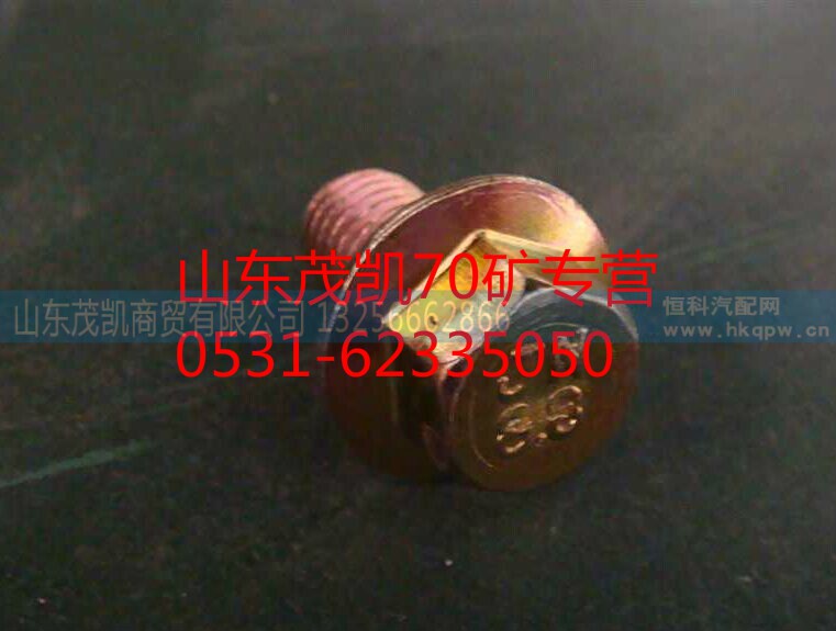 az9981340066,70礦輪邊蓋板螺絲,山東茂凱商貿(mào)有限公司