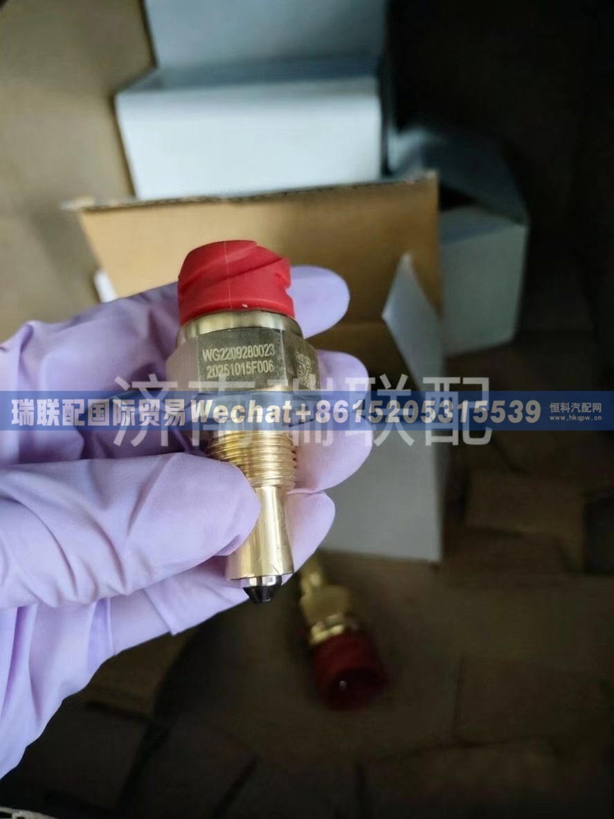 WG2209280023倒挡压力开关 瑞联配国际贸易