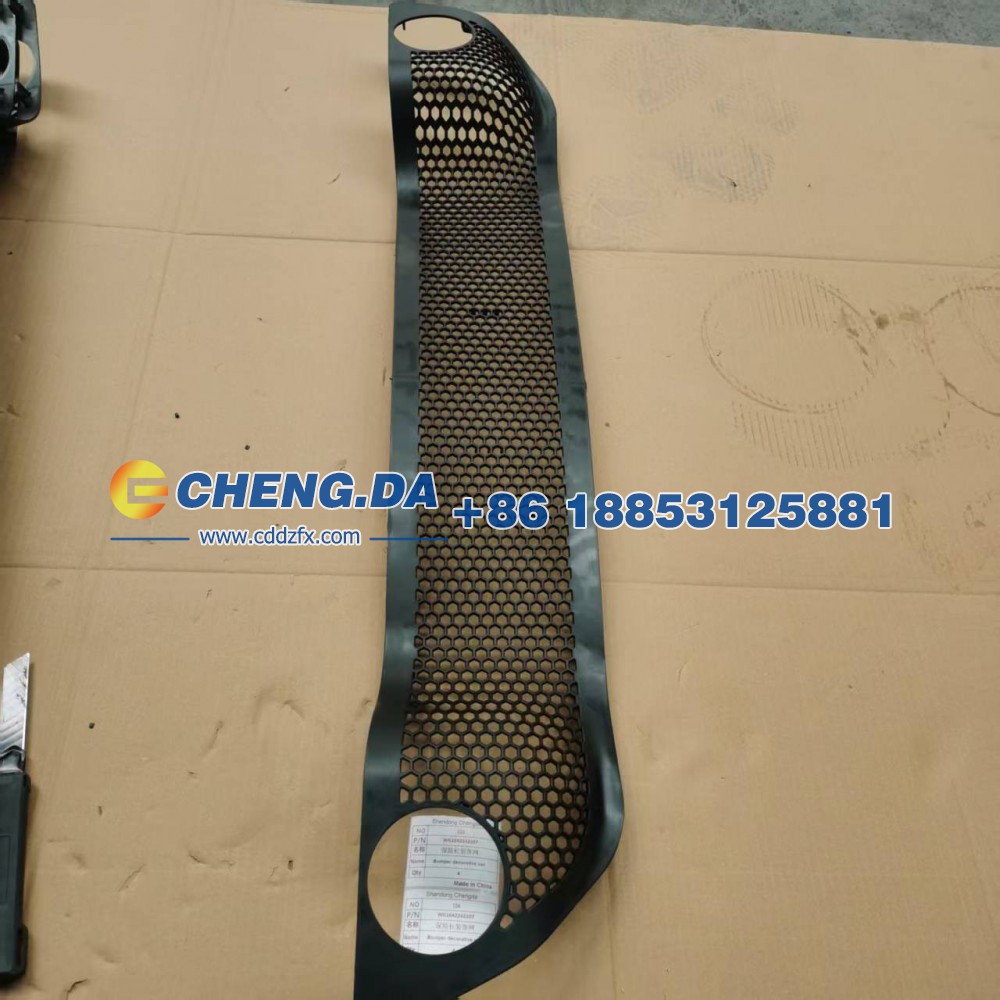 WG1642242107保险杠装饰网