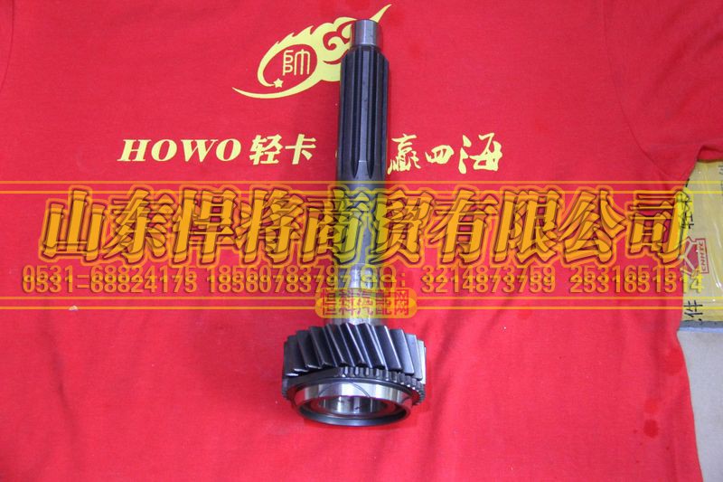 6TS55-1010A4,HOWO豪沃輕卡一軸,山東悍將商貿(mào)有限公司