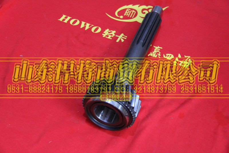 6TS55-1010A4,HOWO豪沃輕卡一軸,山東悍將商貿(mào)有限公司