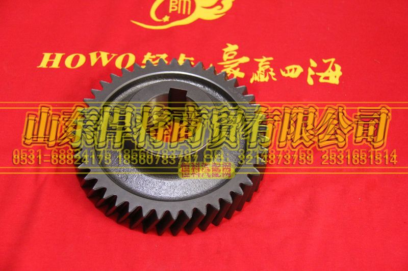 6TS55-2611,中間軸六檔齒輪,山東悍將商貿(mào)有限公司