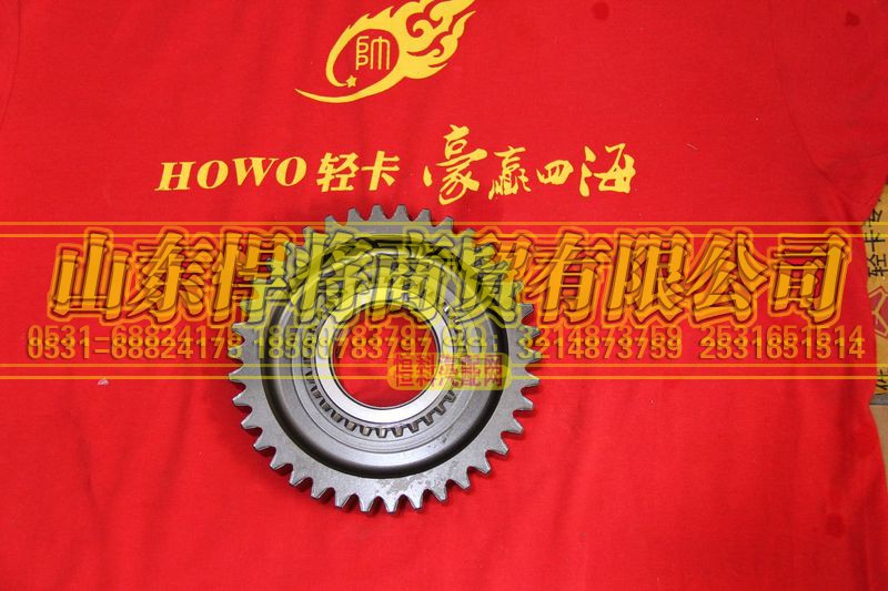 6TS55-3810,倒檔齒輪,山東悍將商貿有限公司