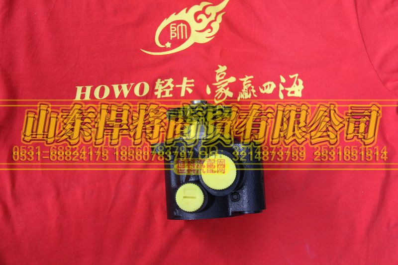 LG9716470031,HOWO豪沃轻卡转向助力泵,山东悍将商贸有限公司