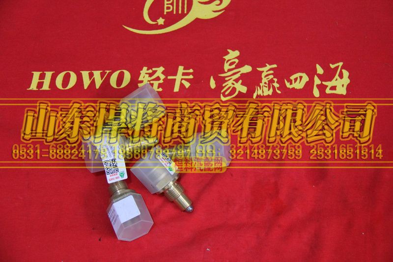 WK-114,HOWO豪沃輕卡倒車燈開關(guān),山東悍將商貿(mào)有限公司