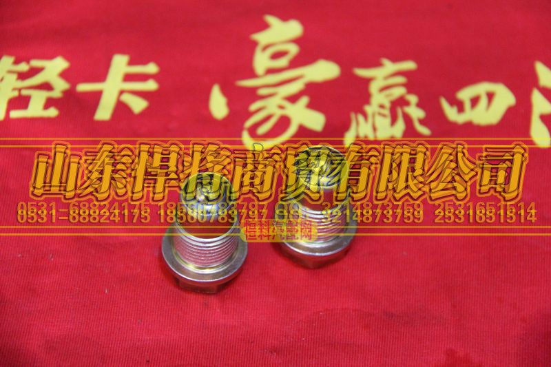 WTZ18X11A1-12S180T,HOWO豪沃輕卡自鎖裝置,山東悍將商貿(mào)有限公司