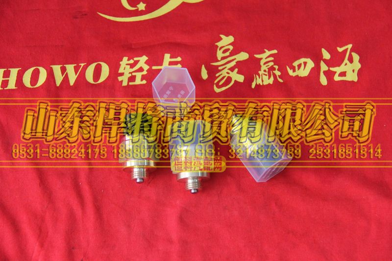 AZ2209286003,HOWO豪沃輕卡倒車燈開關（常開）,山東悍將商貿有限公司