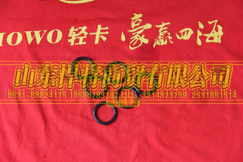 AZ9003079000,HOWO豪沃轻卡后副箱叉轴O型圈,山东悍将商贸有限公司