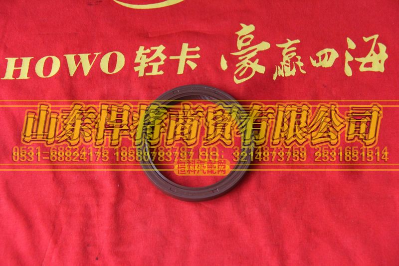 DC6J65T-156SA,HOWO豪沃輕卡主軸后軸承座油封70×88×12,山東悍將商貿有限公司