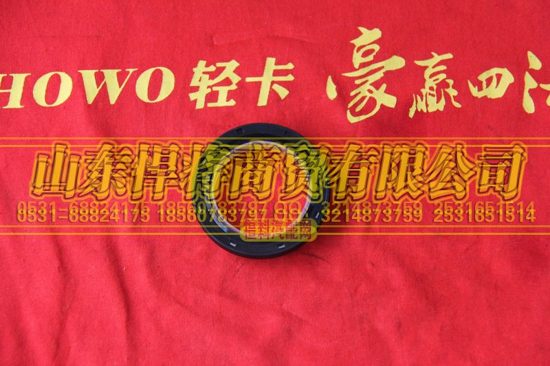 WG9003070430,HOWO豪沃輕卡油封47.6×65×6,山東悍將商貿(mào)有限公司