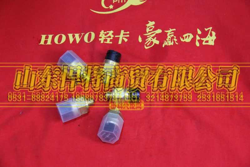 WK-72,HOWO豪沃輕卡倒車燈開關(guān)總成（插接口）,山東悍將商貿(mào)有限公司
