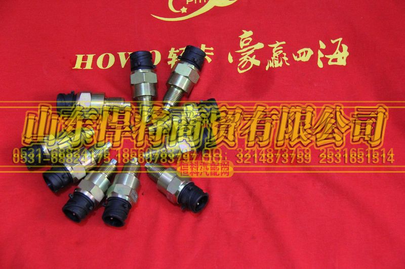 WK-102,HOWo豪沃轻卡空档开关(插接口),山东悍将商贸有限公司