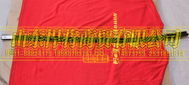 LG1611330012,HOWO豪沃輕卡右車門(mén)內(nèi)密封條,山東悍將商貿(mào)有限公司