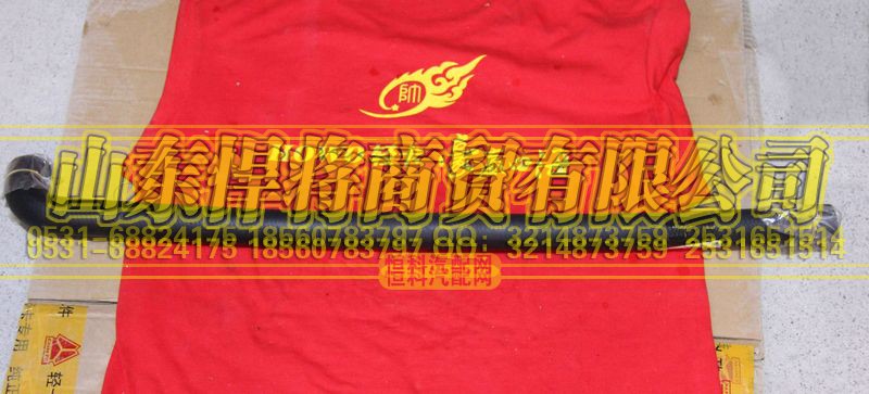 LG9700360121,HOWO豪沃輕卡空壓機(jī)進(jìn)氣膠管,山東悍將商貿(mào)有限公司