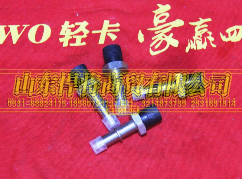 LG9704552141,HOWO豪沃輕卡M14轉(zhuǎn)換接頭,山東悍將商貿(mào)有限公司