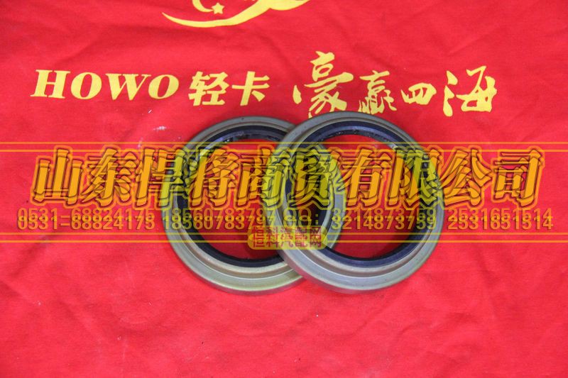 310403002A,HOWO豪沃輕卡后輪轂內(nèi)油封總成,山東悍將商貿(mào)有限公司