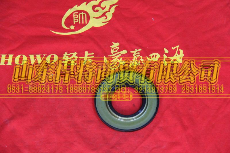 310404002A,HOWO豪沃輕卡后輪轂外油封總成,山東悍將商貿(mào)有限公司