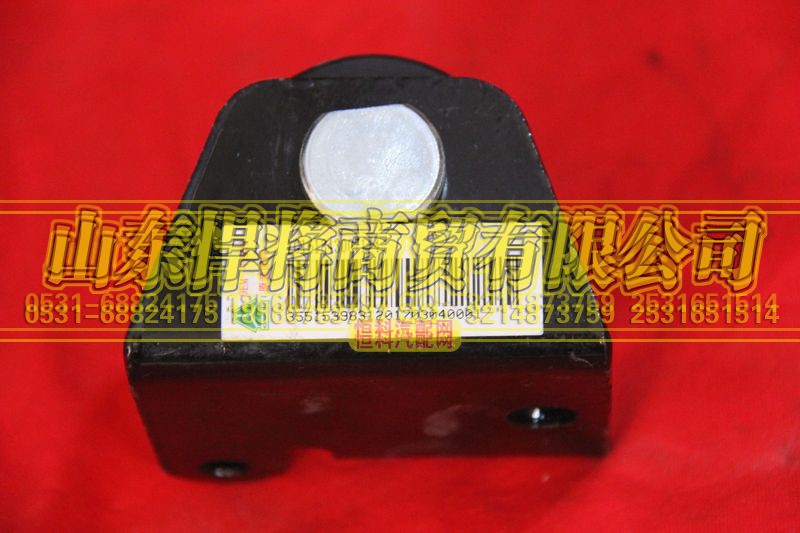 LG1613430071,右尼龍滾輪總成（2080）【HOWO豪沃輕卡】,山東悍將商貿(mào)有限公司