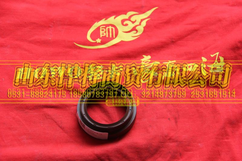 240204010,HOWO豪沃轻卡主齿油封总成,山东悍将商贸有限公司