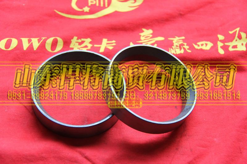 310406106,HOWO豪沃轻卡后桥油封座圈,山东悍将商贸有限公司