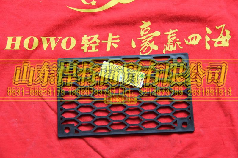 LG1612240205,高端中體保險(xiǎn)杠裝飾網(wǎng),山東悍將商貿(mào)有限公司