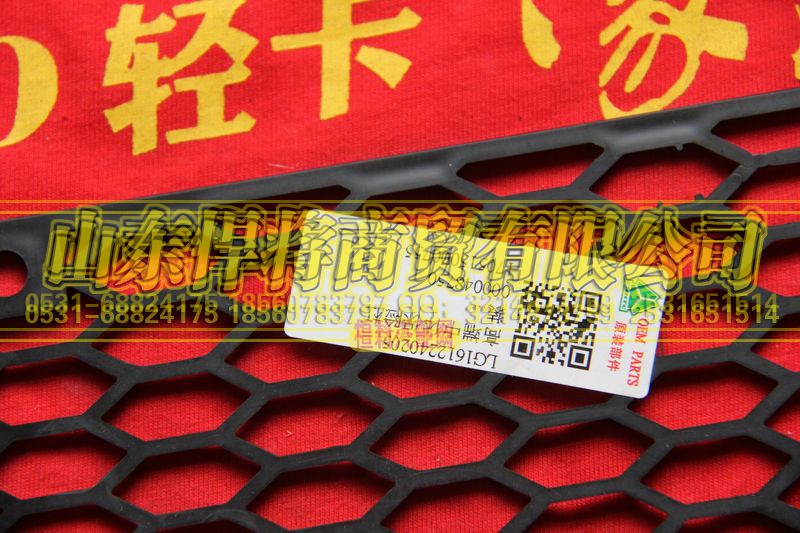 LG1612240205,高端中體保險(xiǎn)杠裝飾網(wǎng),山東悍將商貿(mào)有限公司
