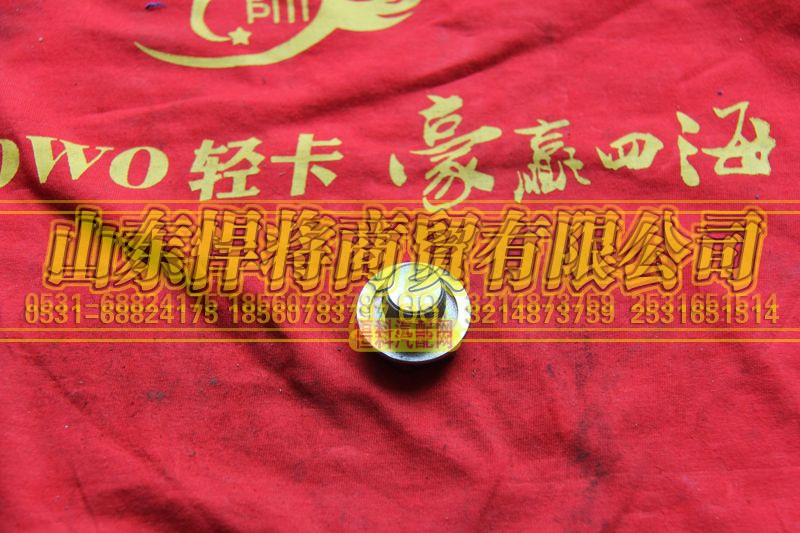 24T-01072,HOWO豪沃輕卡放油孔塞,山東悍將商貿有限公司