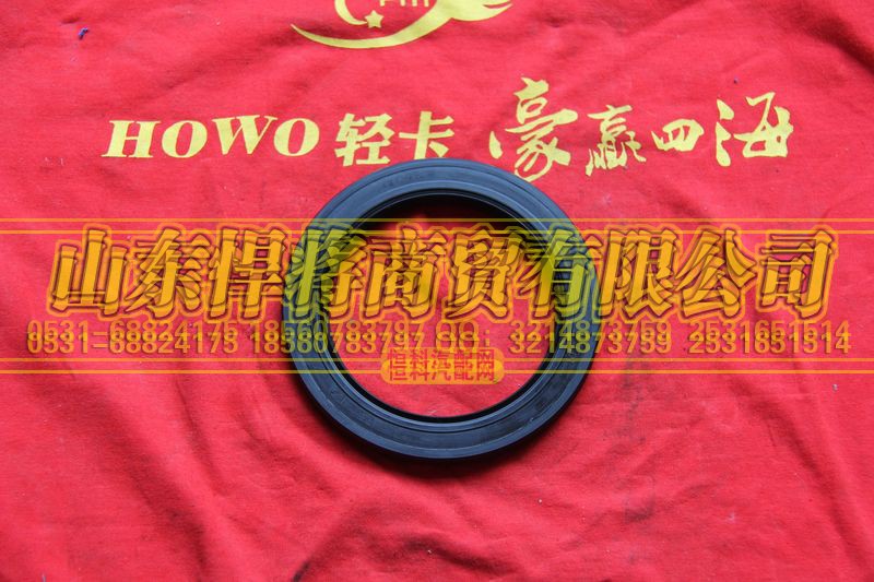 31Q02-04080-A,HOWO豪沃輕卡油封總成,山東悍將商貿(mào)有限公司