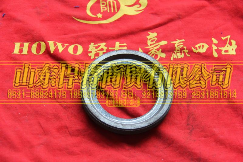 2402C-381,HAOWO豪沃轻卡调整螺母-差速器轴承调整螺母,山东悍将商贸有限公司