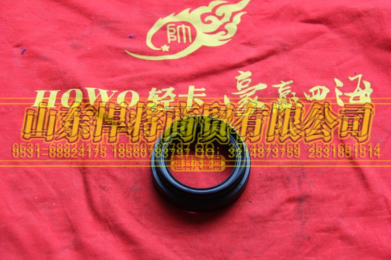 2402Q01-060-F,HAOWO豪沃轻卡油封总成,山东悍将商贸有限公司