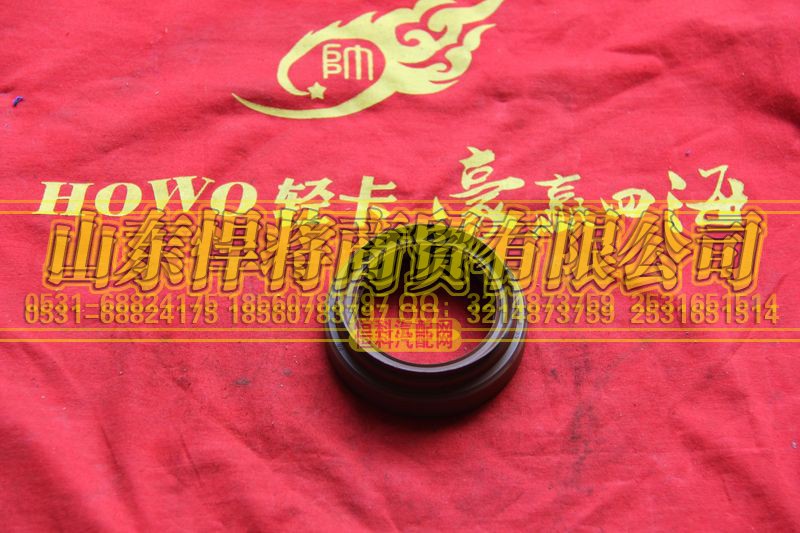 3507D5-075,HAOWO豪沃輕卡主軸錐齒輪油封總成,山東悍將商貿(mào)有限公司