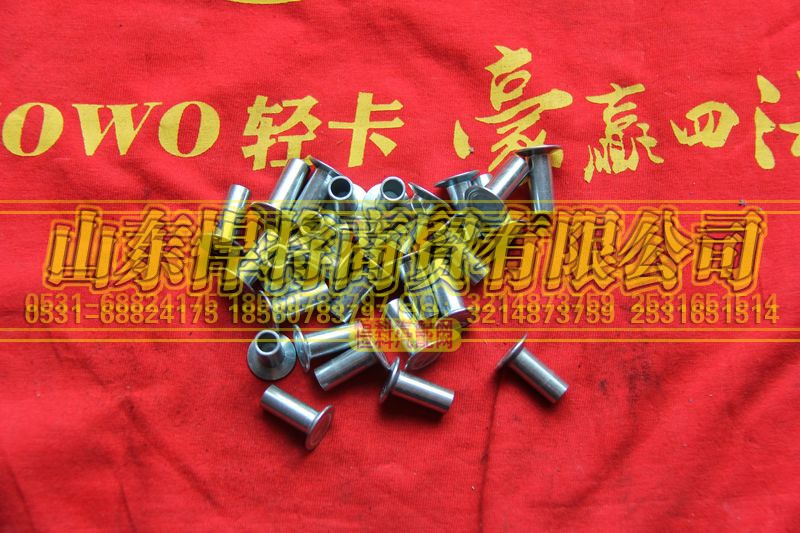 102013010-08,HOWO豪沃轻卡铆钉,山东悍将商贸有限公司