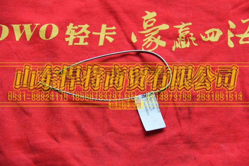 102013010-18,HAOWO豪沃轻卡钢丝锁线,山东悍将商贸有限公司