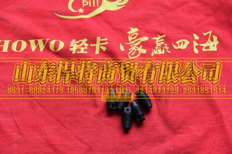 102013010-19,HAOWO豪沃輕卡鎖緊螺釘,山東悍將商貿(mào)有限公司