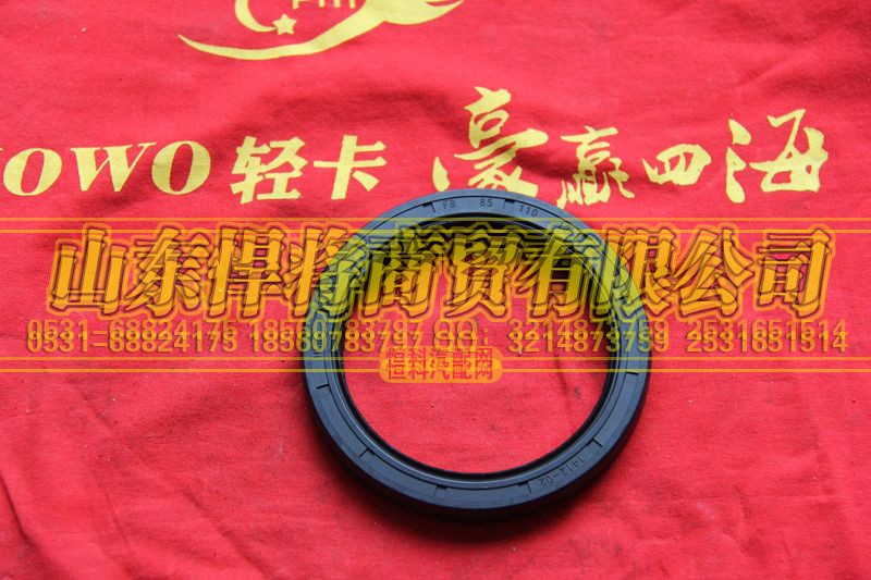 102022001,HAOWO豪沃輕卡油封外,山東悍將商貿(mào)有限公司