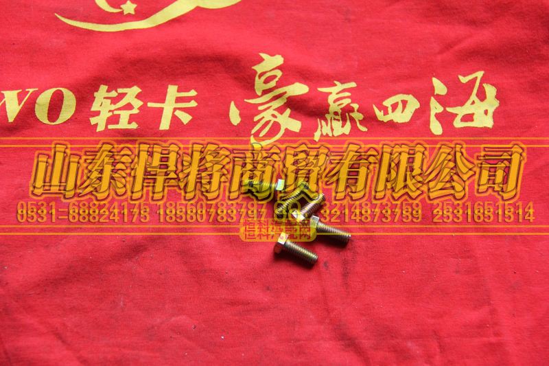 102035118,HOWO豪沃輕卡六角螺栓,山東悍將商貿有限公司