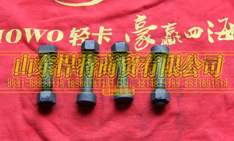 2402C-356,HOWO豪沃輕卡螺栓-差速器殼與從動(dòng)錐齒輪,山東悍將商貿(mào)有限公司