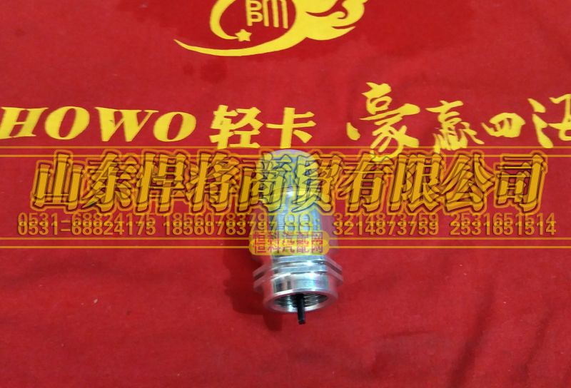170411000894,HAOWO豪沃輕卡車速傳感器,山東悍將商貿(mào)有限公司