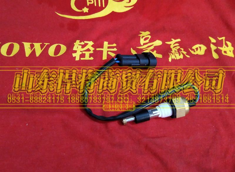 HAOWO豪沃輕卡LG9704530422,水位傳感器(老狀態(tài)）,山東悍將商貿(mào)有限公司