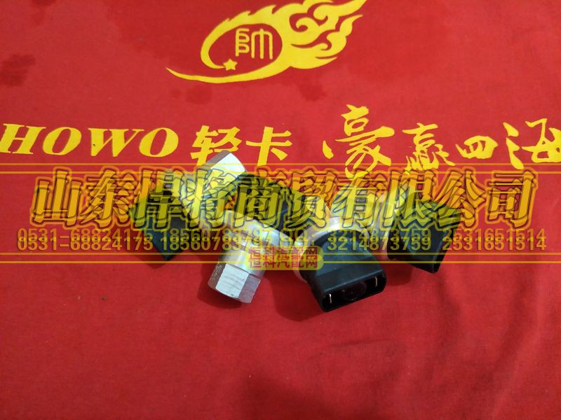 WG1200190040,HOWO豪沃轻卡干式空滤器堵塞指示器开关,山东悍将商贸有限公司