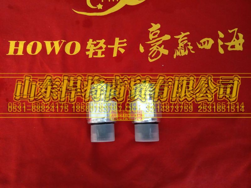 WTCΦ4,HAOWO豪沃轻卡车速传感器（6G120）,山东悍将商贸有限公司