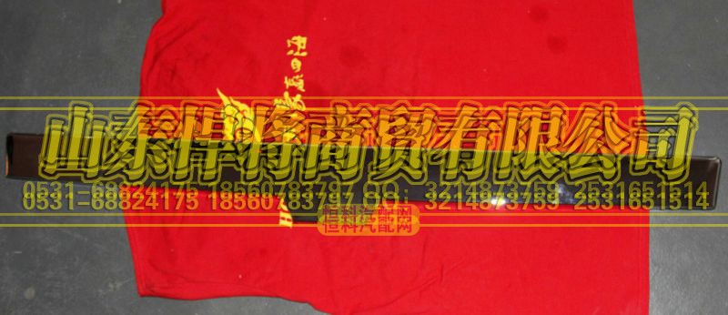 LG1611110021,HOWO豪沃轻卡窄体面罩装饰板,山东悍将商贸有限公司