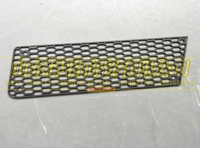 LG1613240005,HOWO豪沃轻卡宽体保险杠左装饰网,山东悍将商贸有限公司