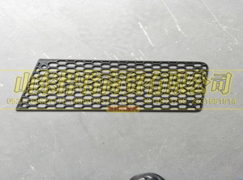 LG1613240005,HOWO豪沃轻卡宽体保险杠左装饰网,山东悍将商贸有限公司