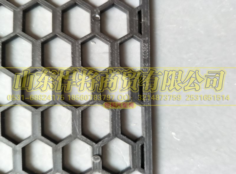 LG1613240005,HOWO豪沃轻卡宽体保险杠左装饰网,山东悍将商贸有限公司