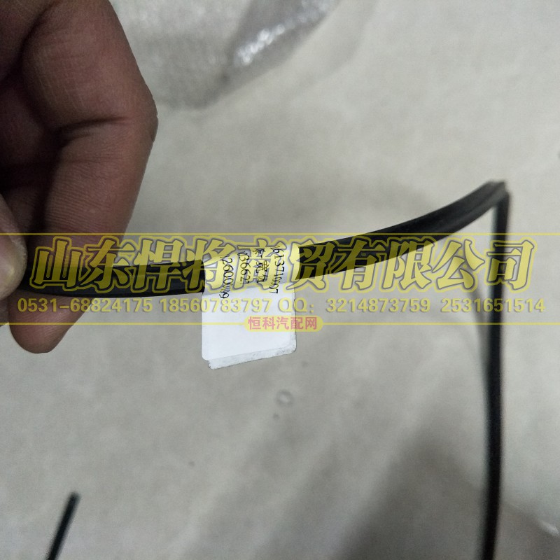 LG1613710007,HOWO豪沃轻卡嵌条-宽体,山东悍将商贸有限公司